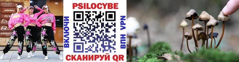 Галлюциногенные грибы прущие грибы  Краснообск 